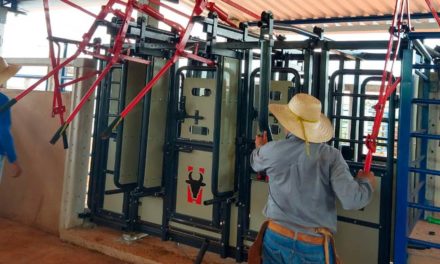 Embrapa Gado de Corte desenvolve Centro de Manejo com tecnologias focadas em bem-estar animal