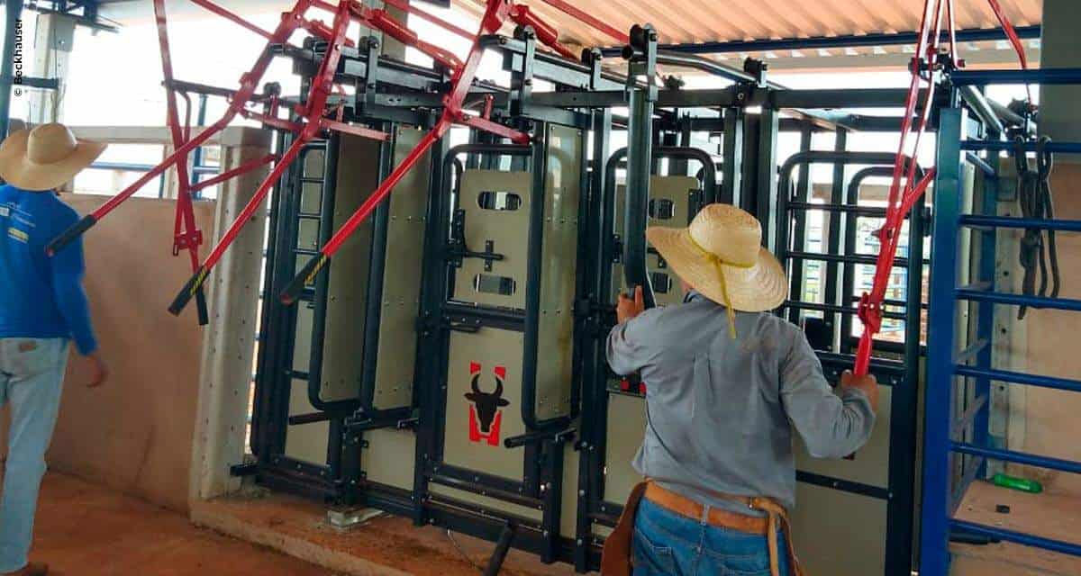 Embrapa Gado de Corte desenvolve Centro de Manejo com tecnologias focadas em bem-estar animal