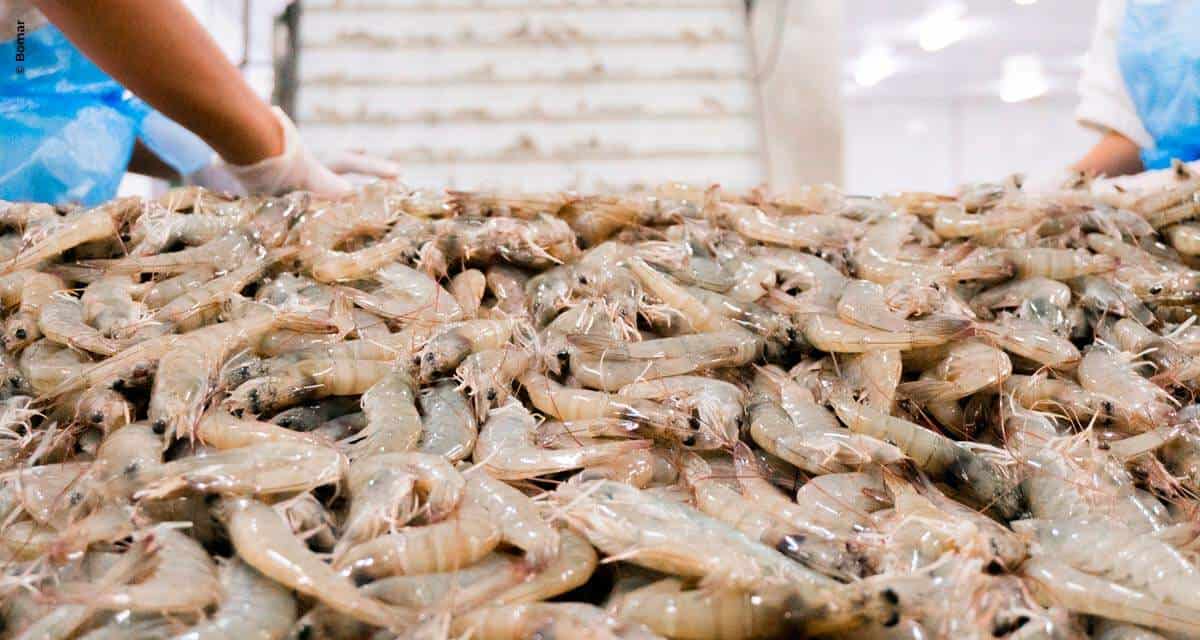 Bomar Pescados projeta crescimento em vendas e expansão comercial para 2021