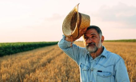 Descumprimento de norma sobre exposição ao calor pode render multa a produtor rural