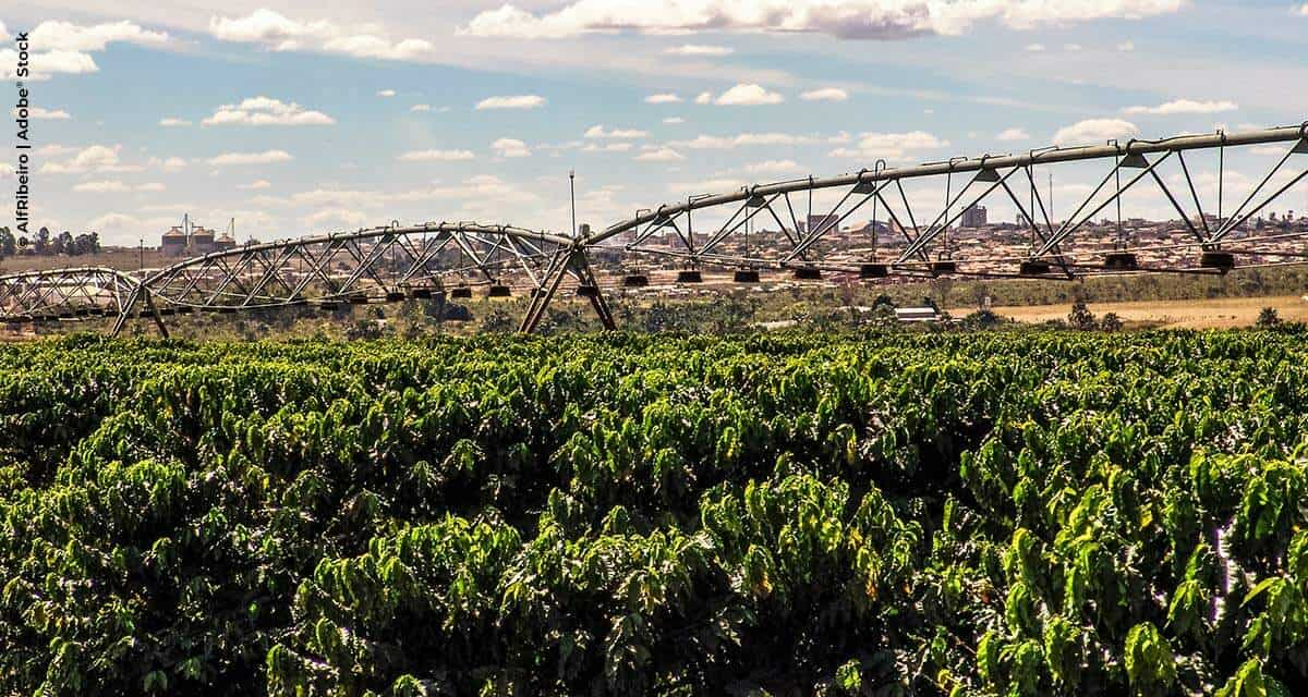 Com projeto de irrigação, cafeicultor aumenta produtividade em 28%