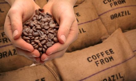 Brasil exporta 44,5 milhões de sacas de café em 2020 e  bate novo recorde histórico