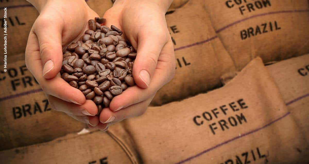 Brasil exporta 44,5 milhões de sacas de café em 2020 e  bate novo recorde histórico