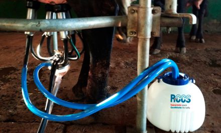 Casa Glória traz ao mercado novidade em equipamento para vacas leiteiras