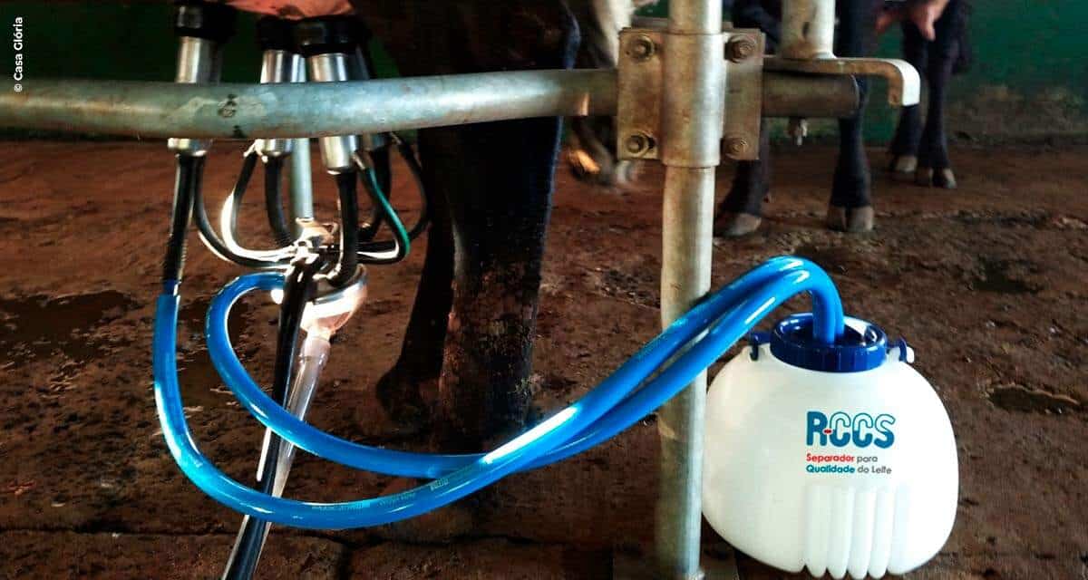 Casa Glória traz ao mercado novidade em equipamento para vacas leiteiras