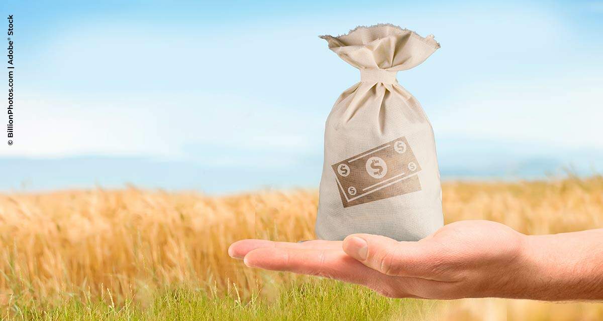Valor da Produção Agropecuária de 2020 ultrapassa R$ 871 bi