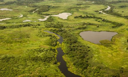 Pacto para Proteção das Cabeceiras do Pantanal completa dois anos de parceria com SLC Agrícola