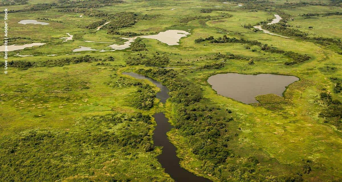 Pacto para Proteção das Cabeceiras do Pantanal completa dois anos de parceria com SLC Agrícola