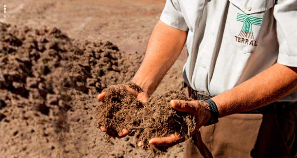 Grupo Terral Agro investe em Projeto SAP para entrar no varejo com cortes especiais de carnes e água de coco