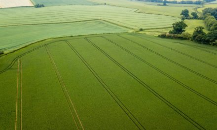 Mais de 53 milhões de reais antecipados no agronegócio e aporte de 2 milhões de dólares em 2020