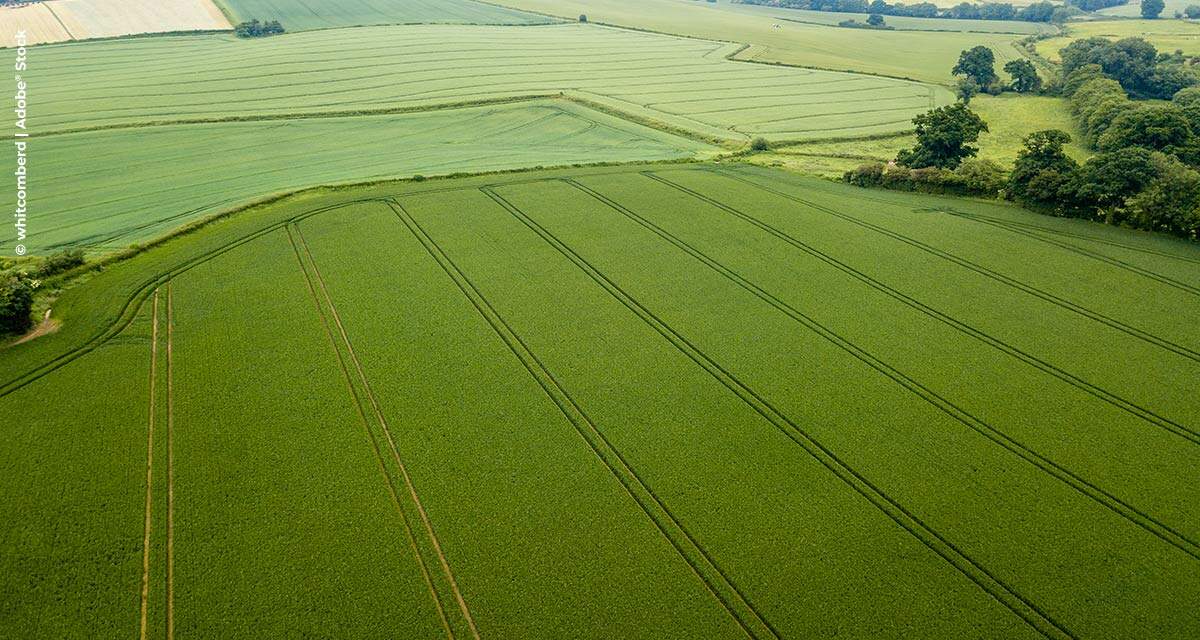 Mais de 53 milhões de reais antecipados no agronegócio e aporte de 2 milhões de dólares em 2020