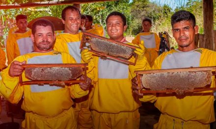 Veracel Celulose promove projeto de meliponicultura com comunidades no Sul da Bahia