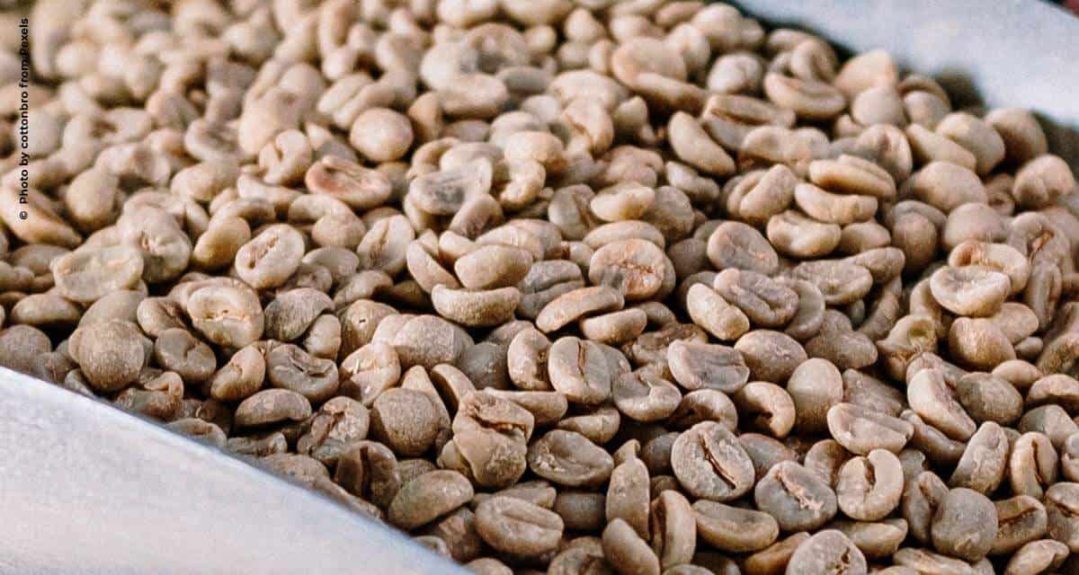 Exportações de café do Brasil atingem 3,1 milhões de sacas em janeiro