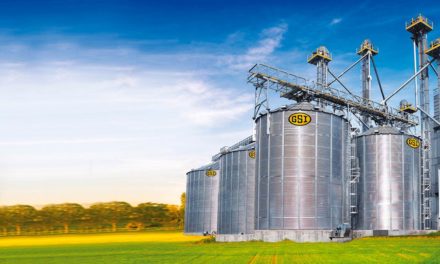 Silos personalizados aumentam rentabilidade do produtor rural