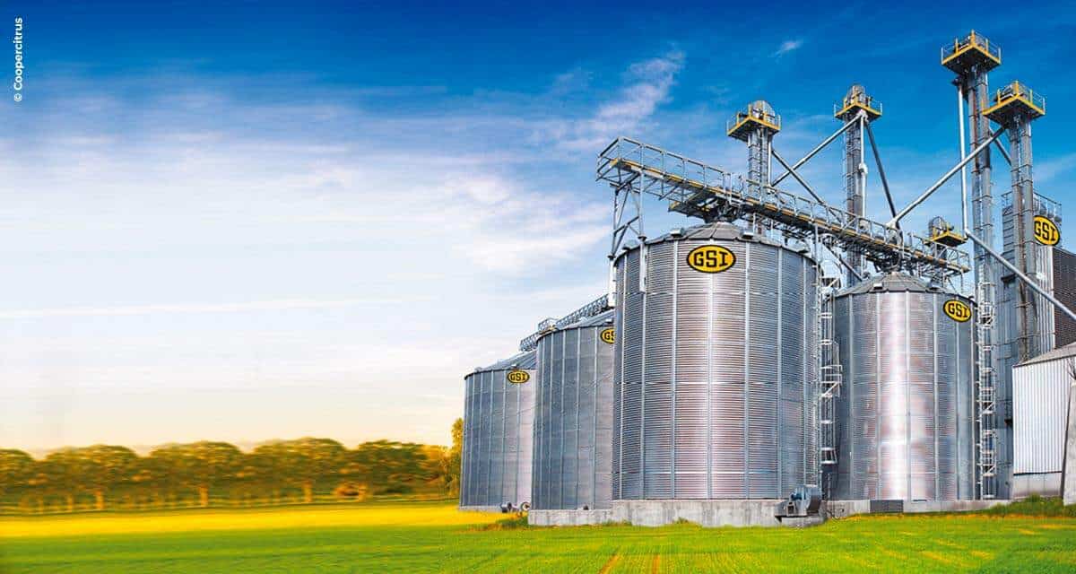 Silos personalizados aumentam rentabilidade do produtor rural