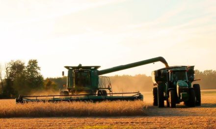 Com sucesso na comercialização online de soja, Bunge e Orbia preparam campanha para estimular barter digital em fevereiro