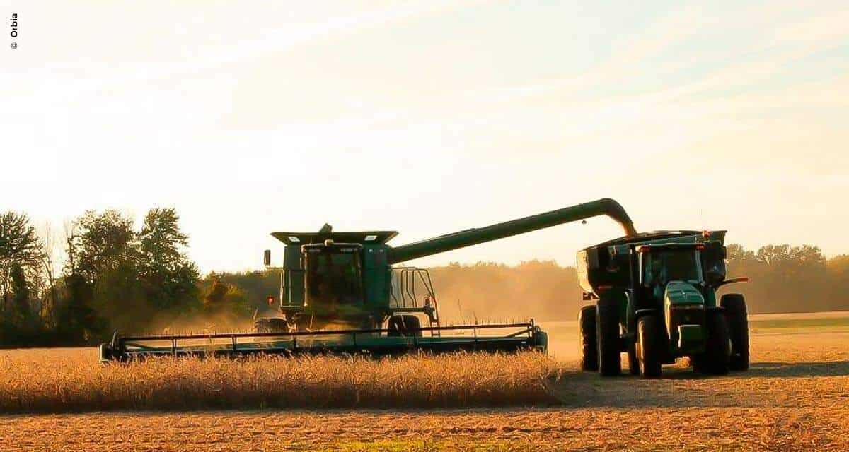 Com sucesso na comercialização online de soja, Bunge e Orbia preparam campanha para estimular barter digital em fevereiro