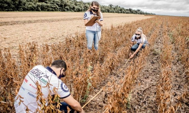 Rally da Safra visita São Paulo, Paraná e Santa Catarina na próxima semana