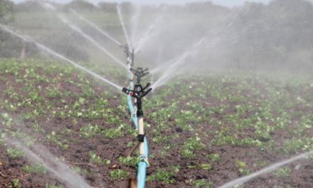 Dachser Argentina mantém a água fluindo para as plantações de uva no país