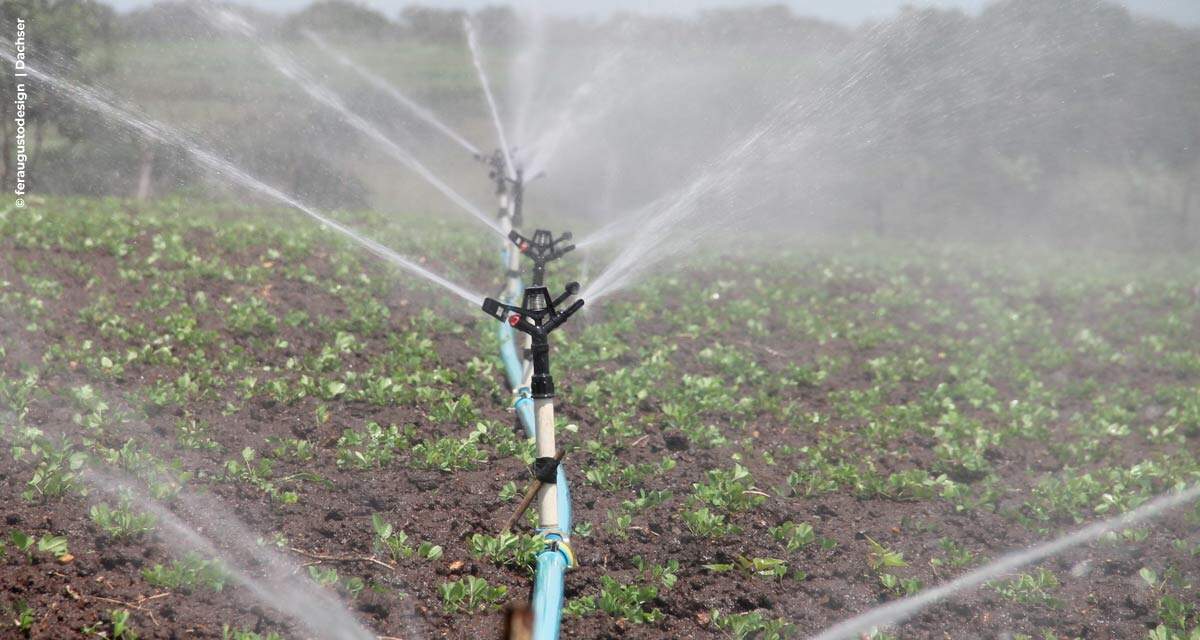 Dachser Argentina mantém a água fluindo para as plantações de uva no país