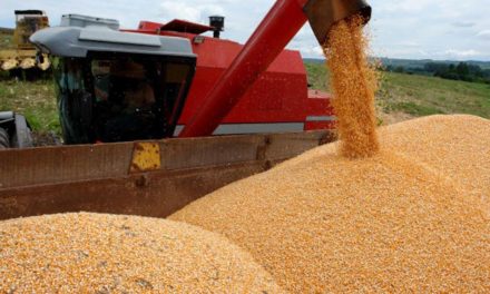 Desempenho da agricultura brasileira durante o primeiro ano da Covid-19