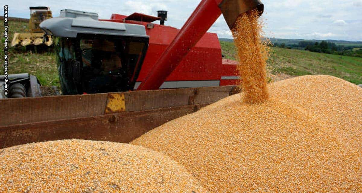 Desempenho da agricultura brasileira durante o primeiro ano da Covid-19