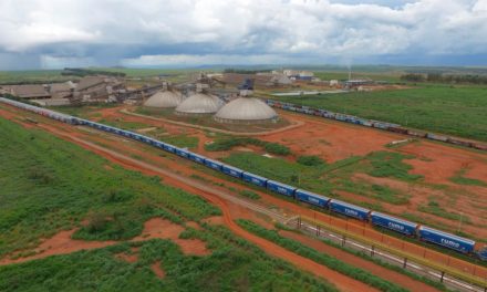 Nova operação de trem com 120 vagões da Rumo marca o início da safra plena de soja em Mato Grosso