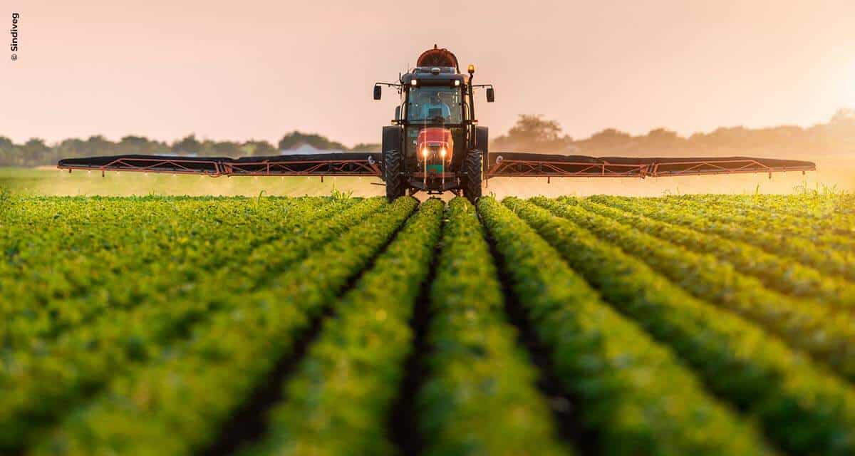 Associadas do Sindiveg investiram R$ 700 milhões na cadeia de produção de alimentos em 2020