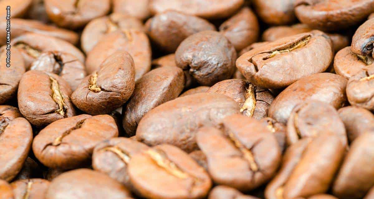 Brasil exporta 11 milhões de sacas de café no primeiro trimestre de 2021