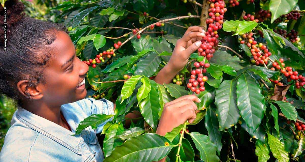 Empreendedores rurais são responsáveis por 25% do agronegócio brasileiro