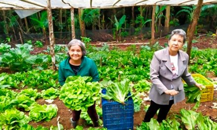 Jovens estudantes desenvolvem projeto para ajudar pequenos produtores rurais