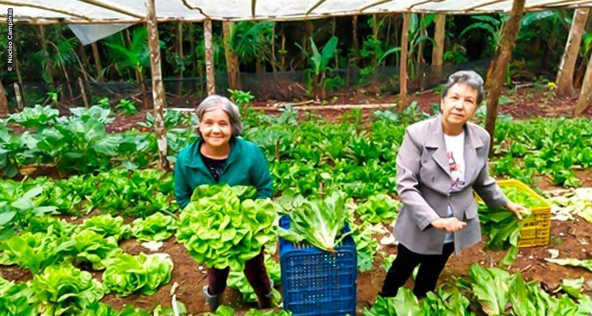 Jovens estudantes desenvolvem projeto para ajudar pequenos produtores rurais