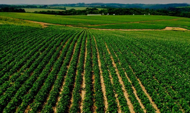 PepsiCo anuncia meta de implantar práticas agrícolas regenerativas em 2.8 milhões de hectares até 2030