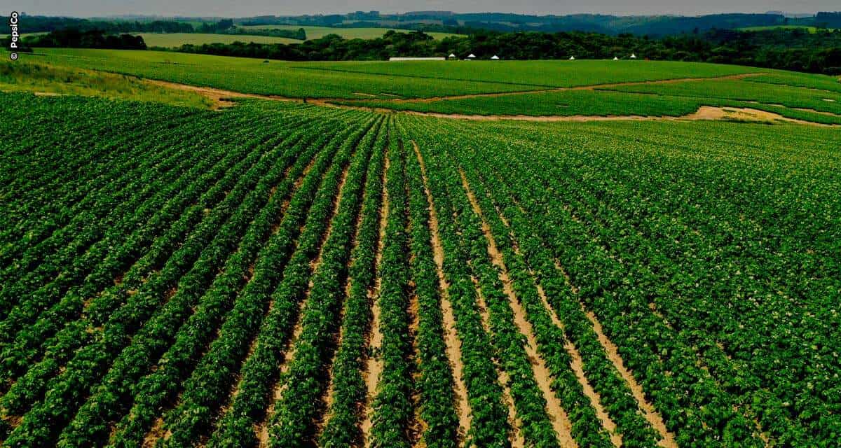 PepsiCo anuncia meta de implantar práticas agrícolas regenerativas em 2.8 milhões de hectares até 2030