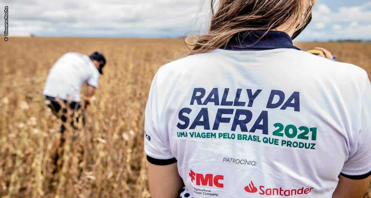 Produtividade final supera as expectativas e safra de soja chega a 137,1 milhões de toneladas