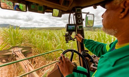 Dia do trabalhador rural: o profissional por trás da potência do agronegócio brasileiro