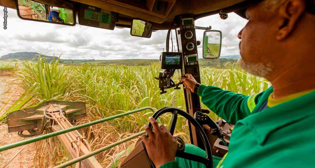 Dia do trabalhador rural: o profissional por trás da potência do agronegócio brasileiro
