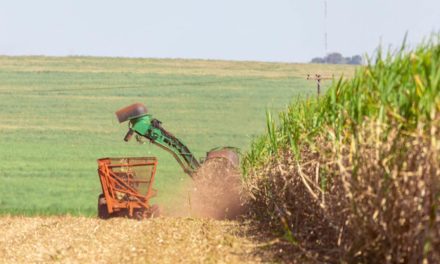 Agronegócio: exportações do Complexo Sucroalcooleiro crescem 37,4% entre janeiro e abril de 2021 e aumentam superávit