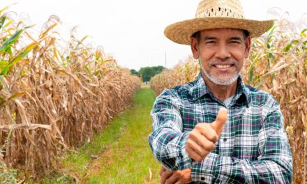 Coplacana ultrapassou marca de 2 bilhões em vendas em 2020