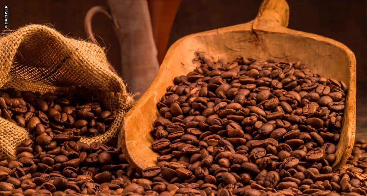De plantações de café a potes e xícaras fumegantes: a rota do café do Brasil para o mundo
