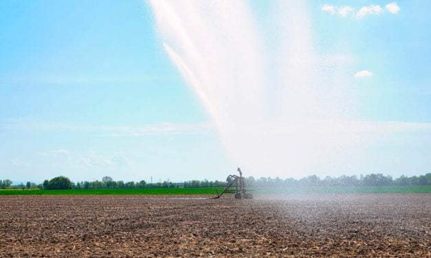 Paraná ganha competitividade no agro por causa da isenção de ICMS nos sistemas de irrigação