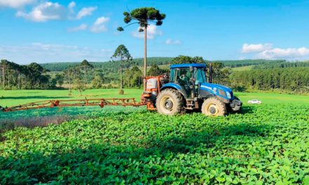 Tecnologia biológica ajuda agricultores a proteger o solo e a obter melhor produtividade