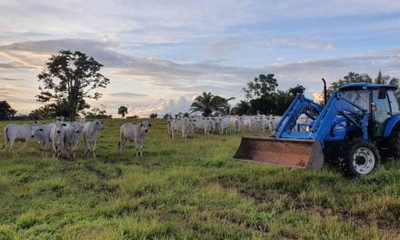 Trator é ferramenta essencial na pecuária moderna