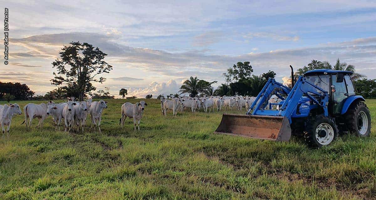 Trator é ferramenta essencial na pecuária moderna