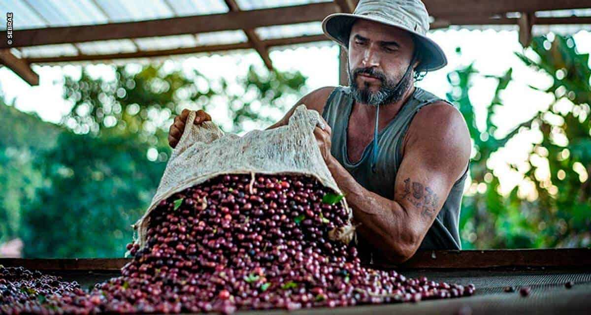 Maior produtor de café do mundo: Brasil possui 12 indicações geográficas do grão