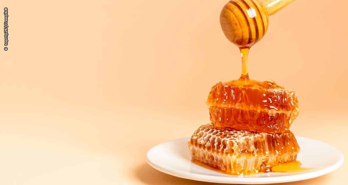 Secretaria de Agricultura e Abastecimento de SP e setor produtivo lançam campanha sobre a qualidade do mel