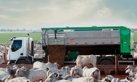 Setor agropecuário aposta na tecnologia para crescer ainda mais em 2021