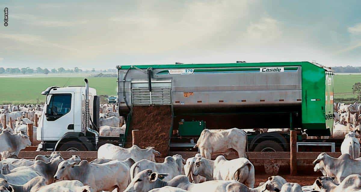 Setor agropecuário aposta na tecnologia para crescer ainda mais em 2021