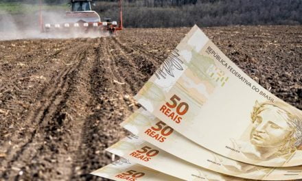 Governo libera R$ 251,2 bilhões em crédito rural