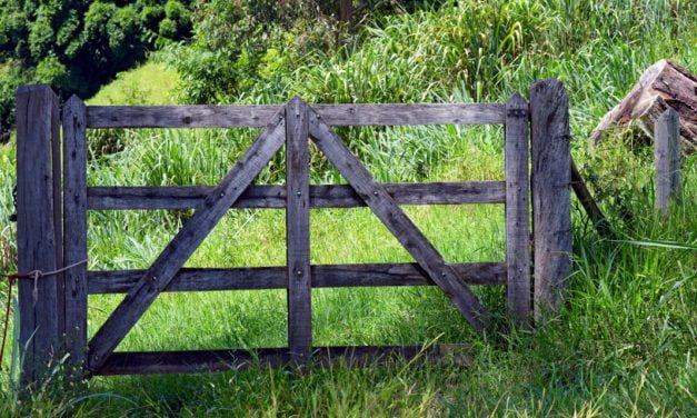 A ferramenta AnalisaCAR e o incentivo à agricultura sustentável no Brasil